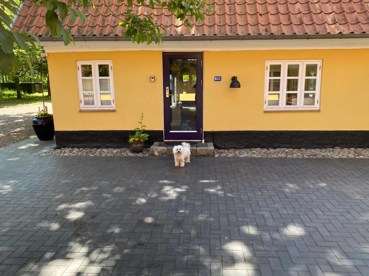 Lake View Apartment Grindsted Exterior foto